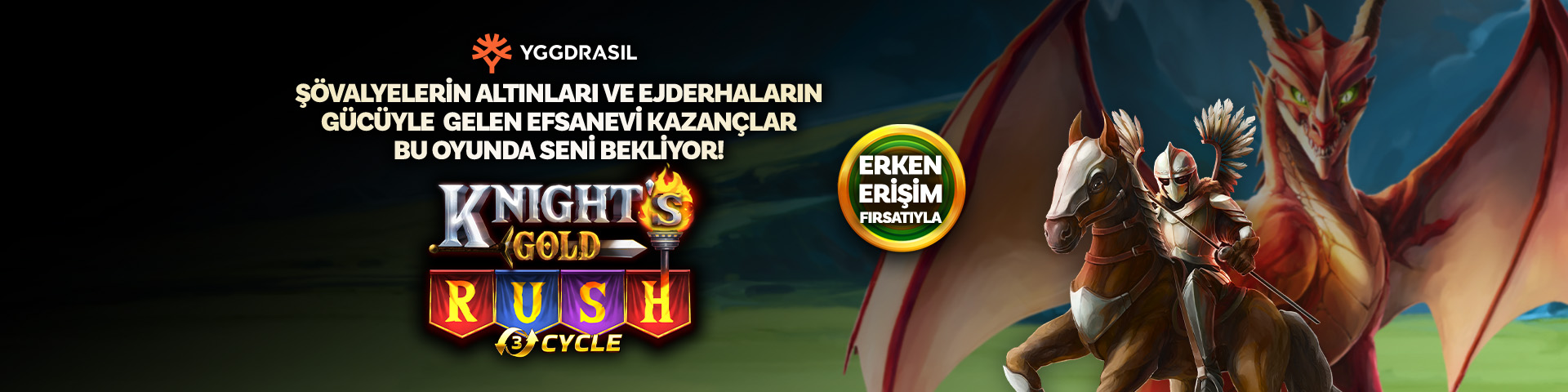 ygg erken erisim