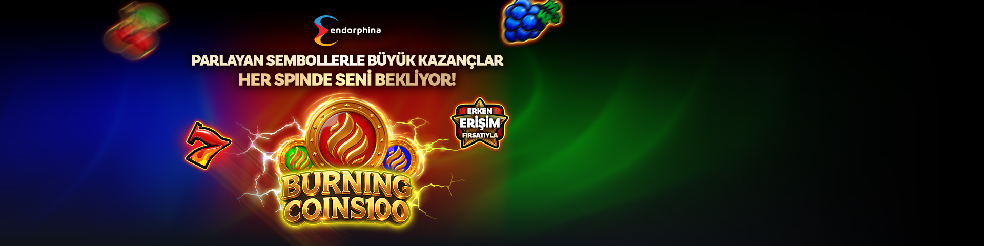 Endo erken erisim
